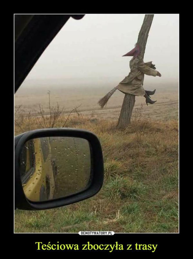 Tych memów o teściowych nie pokażesz mamie! Internauci nie mają litości