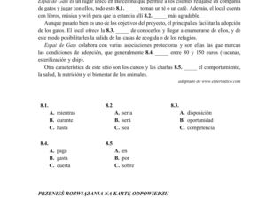 ARKUSZE CKE - Matura j. hiszpański - poziom podstawowy 2019
