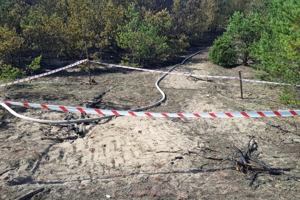 Spłonęło 3,5 ha lasu pod Świeciem. Tak bawili się trzej chłopcy. Najstarszy ma 10, najmłodszy 8 lat