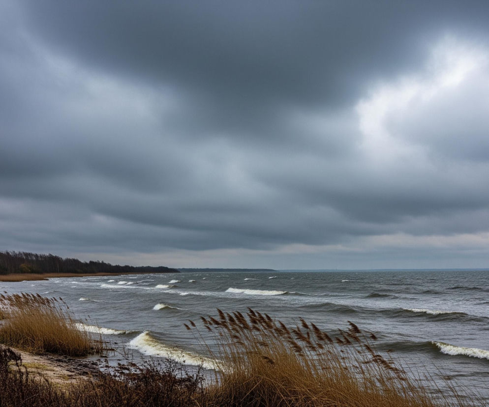 Morze z falującymi, białymi grzywami rozciąga się w prawo, zajmując większą część środkowej i prawej strony obrazu. Brzeg z linią piaszczystej plaży i brązowymi trzcinami oraz suchą trawą znajduje się po lewej stronie. W tle widoczny jest pas ciemnych drzew i krzewów na horyzoncie, a nad całością rozciąga się zachmurzone, szare niebo.