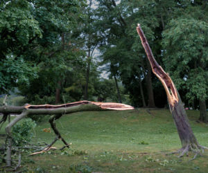 Nawałnica zaskoczyła pielgrzymów. Konar runął  na wiernych