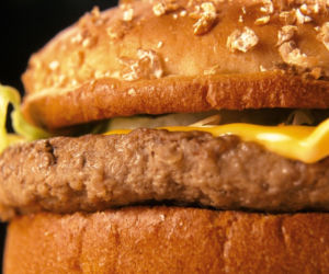 hamburger