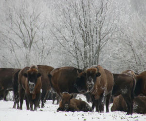 10 rzeczy, których nie wiedziałeś o województwie podlaskim