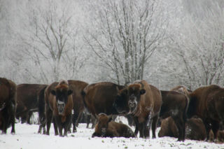 10 rzeczy, których nie wiedziałeś o województwie podlaskim