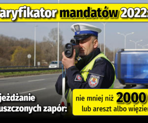 Taryfikator mandatów 2022 