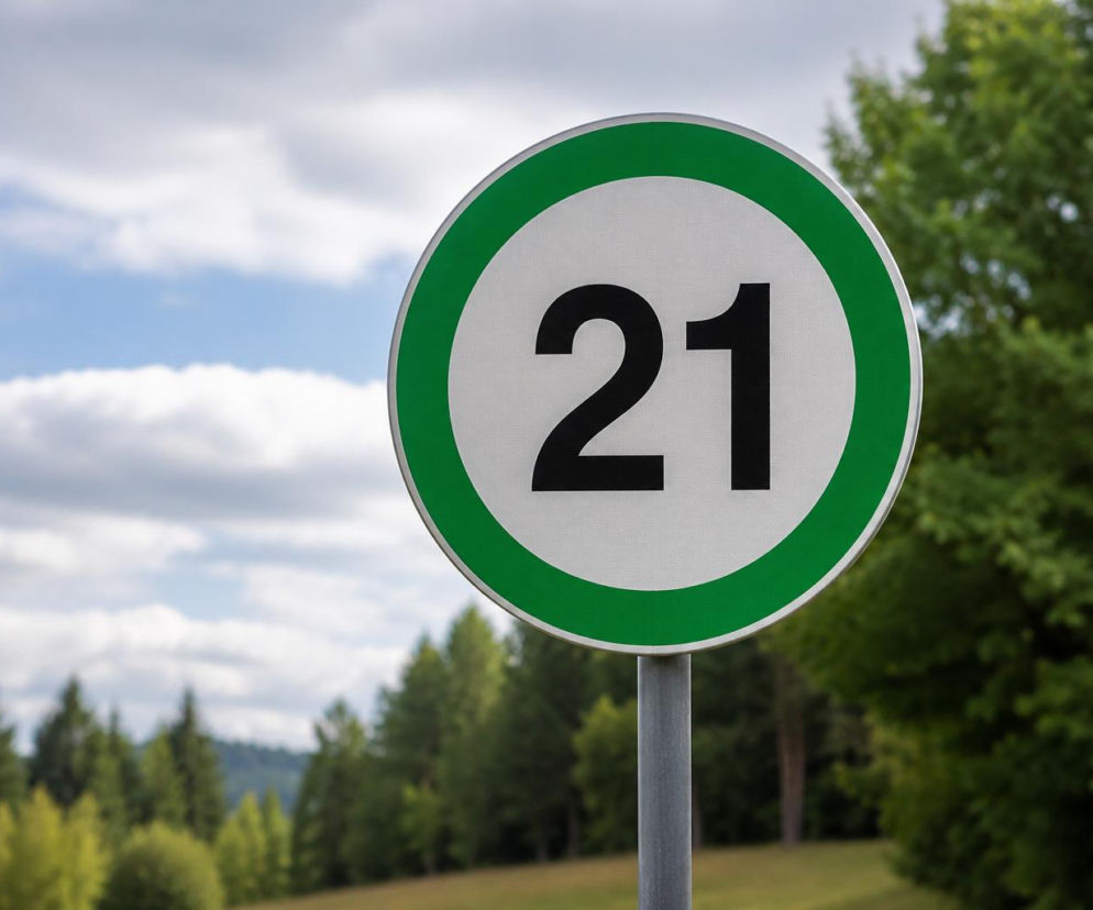 Zielone znaki na drogach. To drobna sugestia dla kierowców