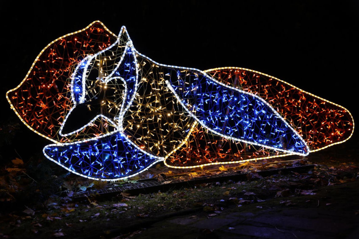 Park iluminacji 2023 w Lublinie