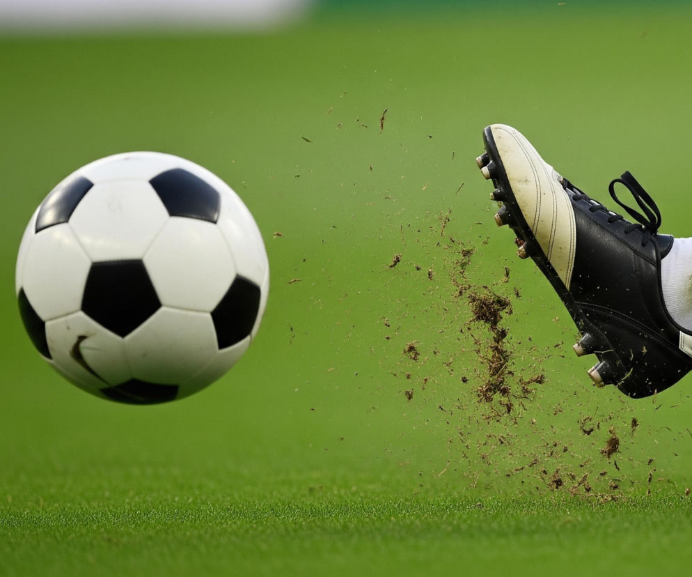 Ekstraklasa. Wisła Płock.jpg