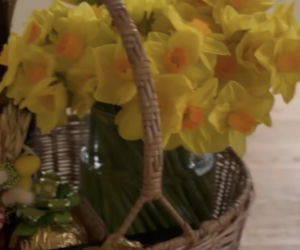 Małgorzata Rozenek-Majdan