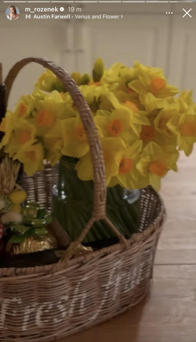 Małgorzata Rozenek-Majdan