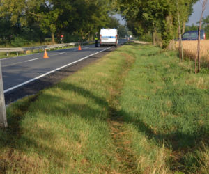 Groźny wypadek w powiecie radziejowskim. 65-letni kierowca uderzył w drzewo! [ZDJĘCIA]