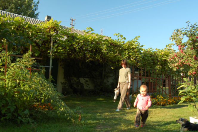 Dobrze w Dobrowodzie