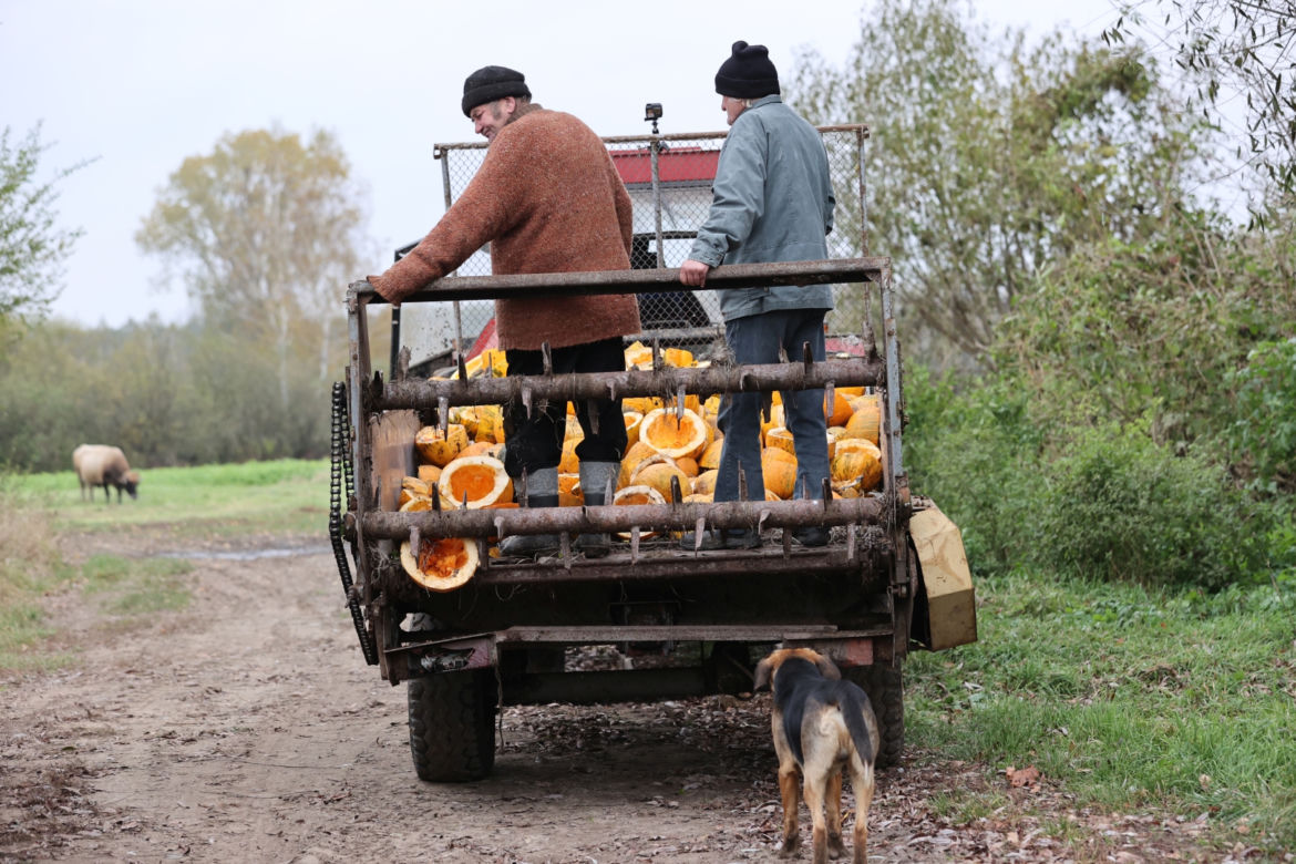 Rolnicy. Podlasie. Gienek z Plutycz