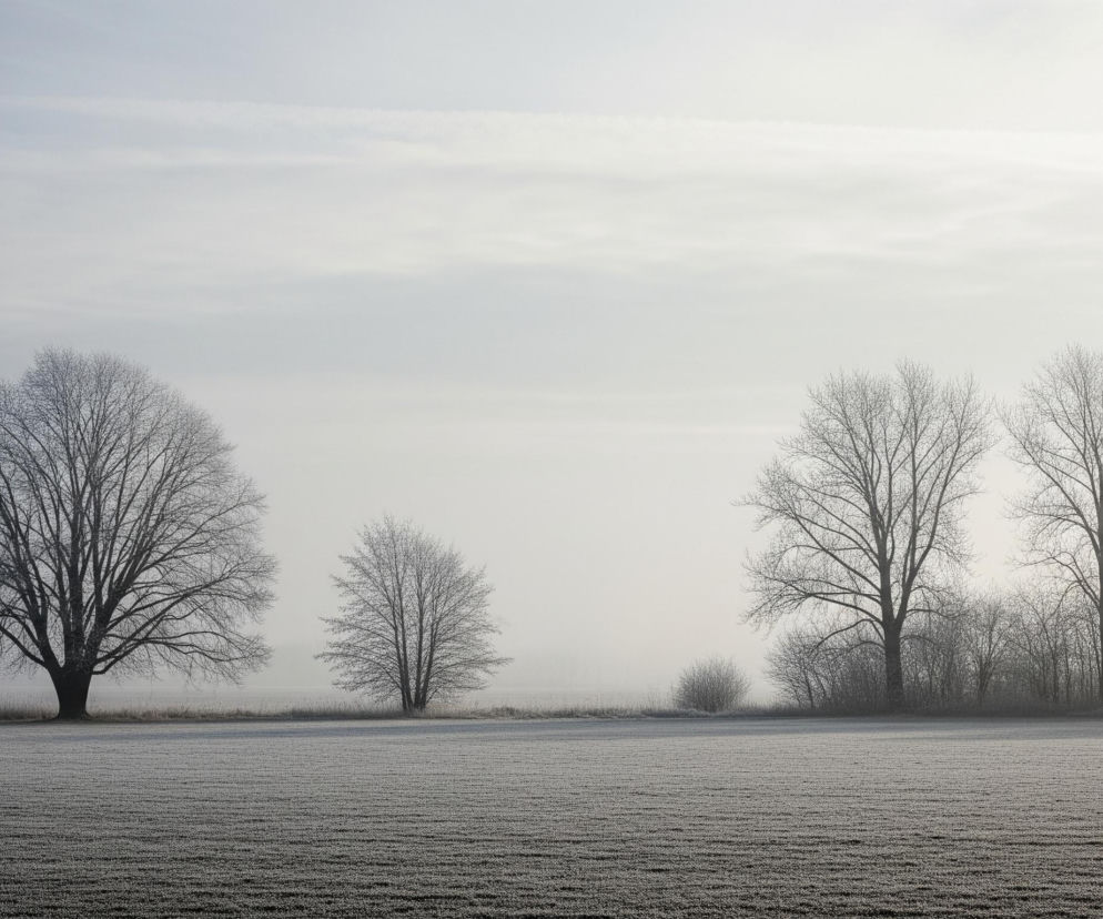 Rozległe, zamglone pole rozciąga się pod bladym, jasnym niebem. Na pierwszym planie widać równo posadzone uprawy, pokryte białym szronem, tworzącym poziome pasy na ciemnej ziemi. Po lewej stronie dominuje duże, rozłożyste drzewo pozbawione liści, jego gałęzie pokryte są szronem. Dalej na prawo, znajduje się mniejsze drzewo, również bez liści i pokryte szronem, a za nim szereg innych, podobnych drzew i krzewów, tworzących nieprzenikniony horyzont. Cała scena spowita jest w mglistej, szaro-białej atmosferze, nadając jej spokojny, zimowy charakter.