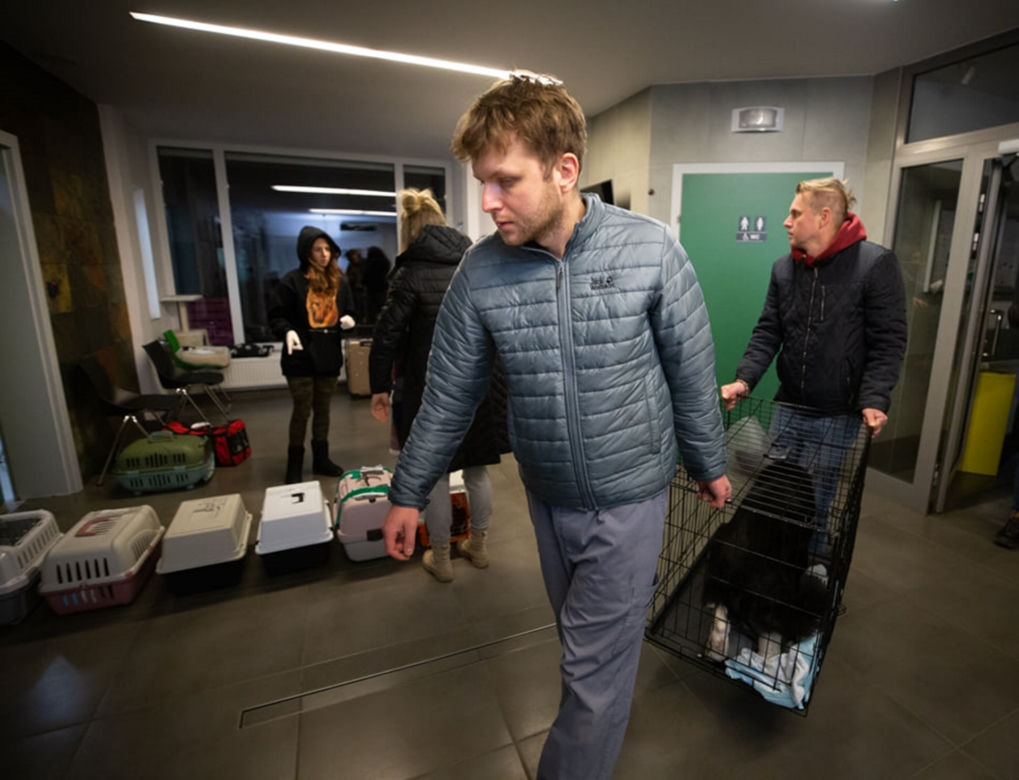 Od początku wojny ratowali prawie 600 zwierząt z Ukrainy