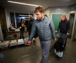 Od początku wojny ratowali prawie 600 zwierząt z Ukrainy