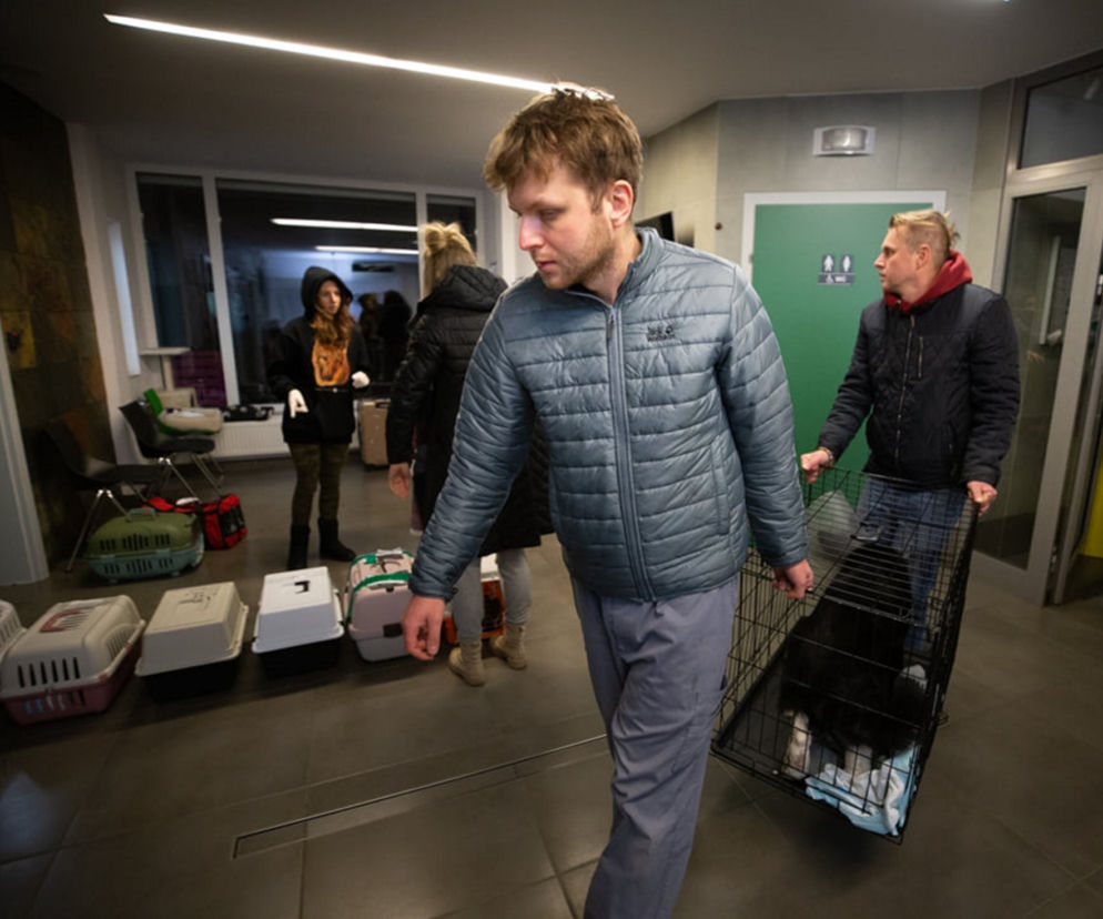 Od początku wojny ratowali prawie 600 zwierząt z Ukrainy