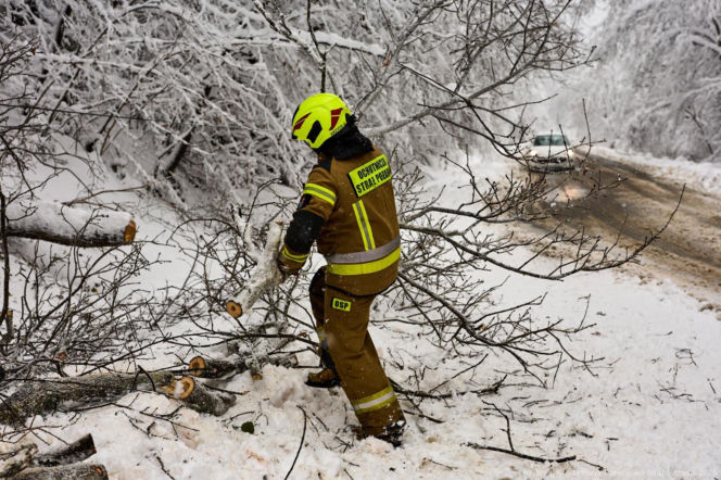 Podkarpacie pod śniegiem. Tysiące domów bez prądu, drogi sparaliżowane. Sprawdź, co dzieje się w regionie!