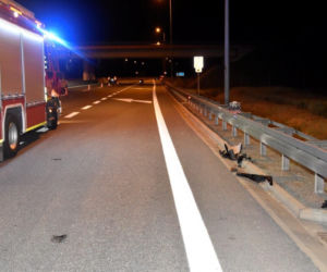 Wypadek na autostradzie A4. Motocyklista wjechał w samochód osobowy