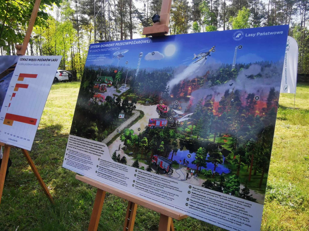 Pożary lasów w Polsce. Pilny alarm przed majówką! Czy czeka nas powtórka z Biebrzy?