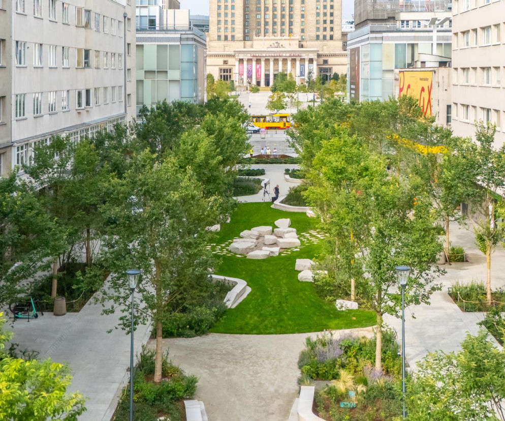Zielony skwer z drzewami i trawnikiem na ulicy Złotej w Warszawie. O Nowym Centrum Warszawy przeczytasz w serwisie Architektura.