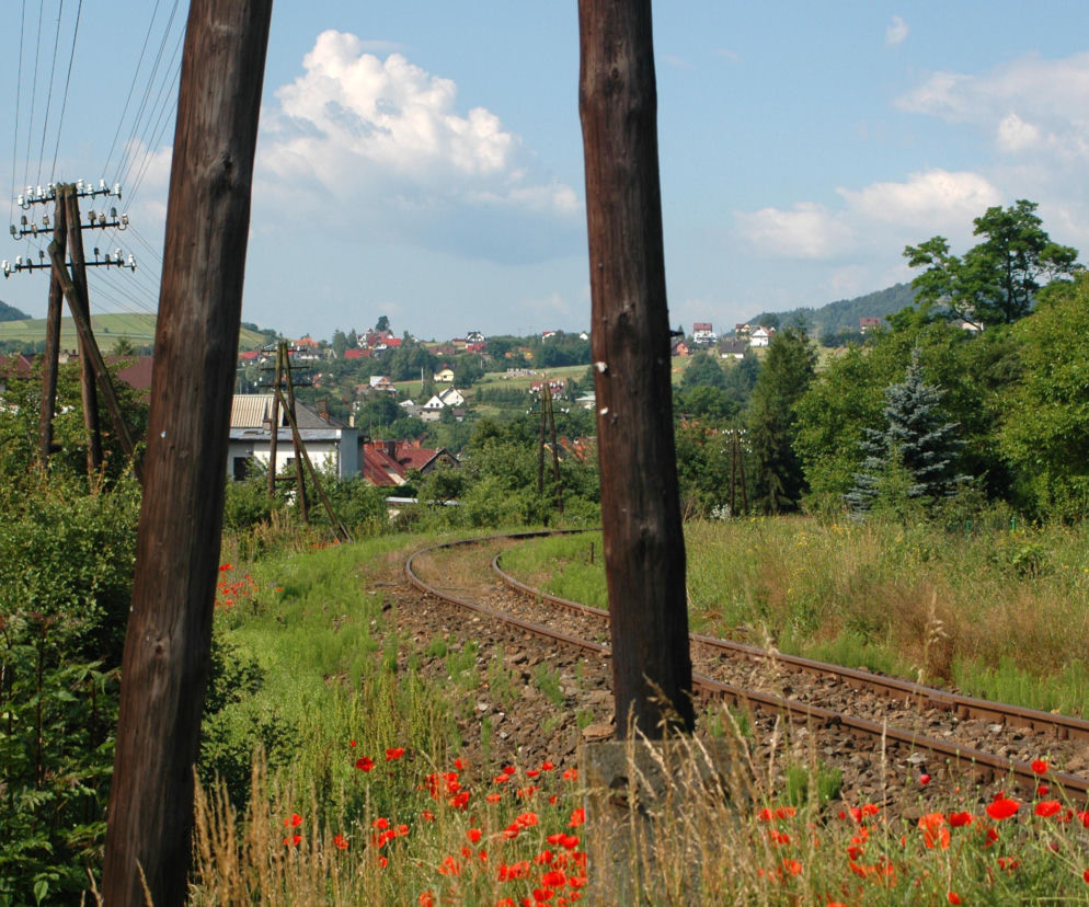 Nielegalne słupy i rury. Decyzja Trybunału Konstytucyjnego dotknie miliony Polaków