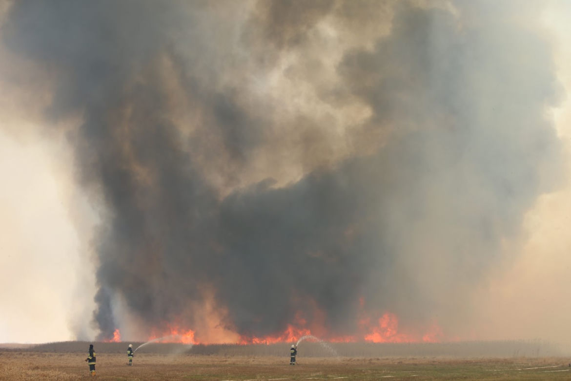 Pożar w Biebrzańskim Parku Narodowym
