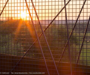 Most Europejski na Odrze w Siekierkach