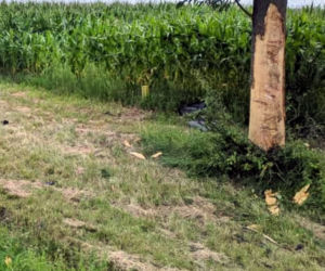 Wypadek seata na DK 65 pomiędzy Mońkami a Knyszynem