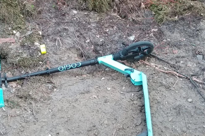 Tragiczny wypadek pod Radomskiem. 11-latka zginęła na hulajnodze! [ZDJĘCIA]