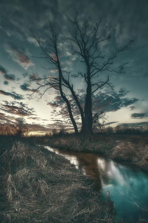 Strażak-fotograf Tomasz Sieńczuk robi niesamowite zdjęcia woj. podlaskiego