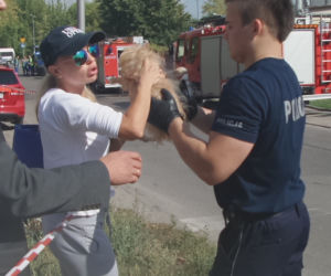 Straciliśmy dach nad głową