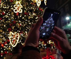 Choinka przed urzędem miasta w Szczecinie