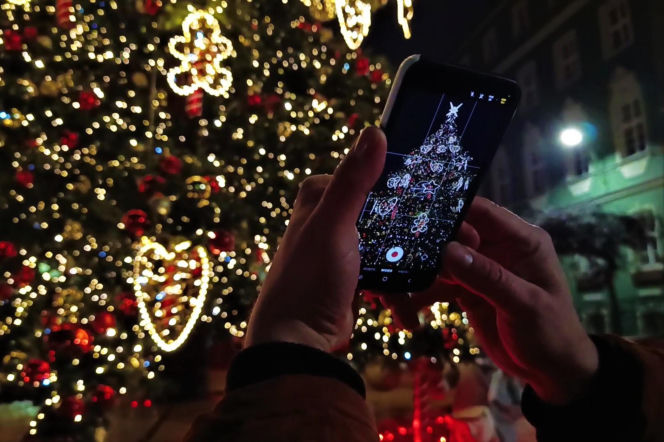 Choinka przed urzędem miasta w Szczecinie