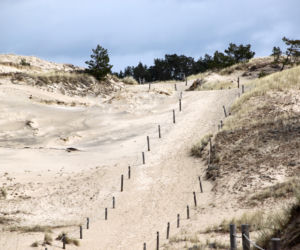 Plaża w Czołpinie