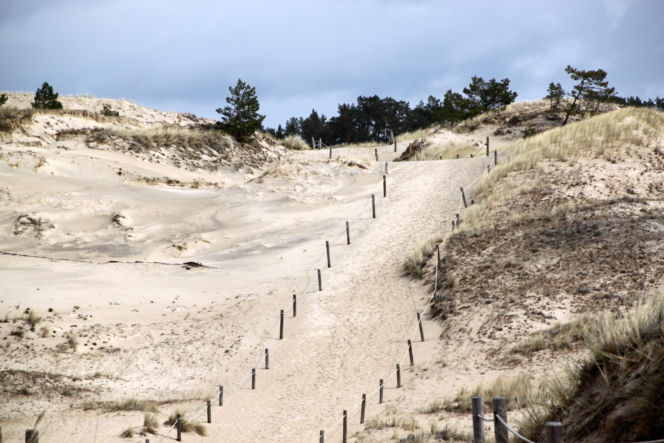 Plaża w Czołpinie