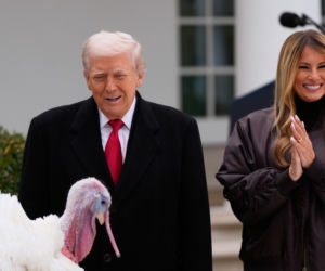 Trump ułaskawił indyki. Ale poprzednie zostaną zjedzone?!