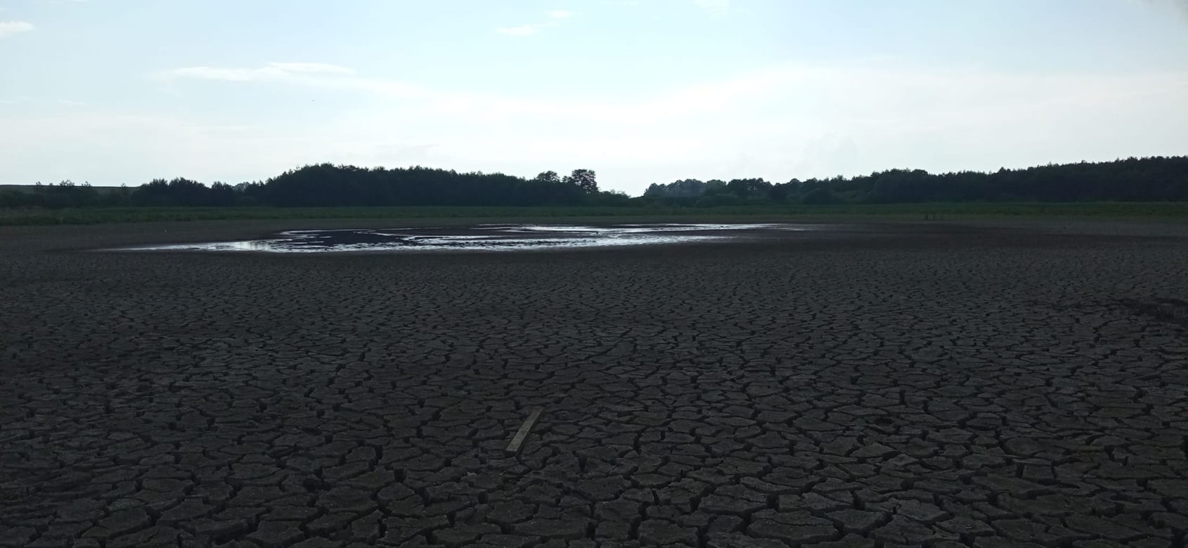 Wyschnięte jezioro w Skrzatuszu pod Piłą