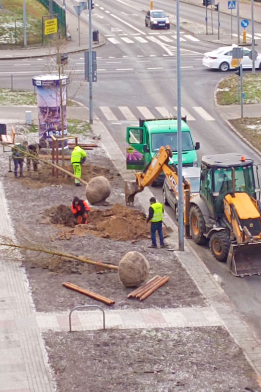 Drzewa powróciły na aleję Bohaterów Warszawy