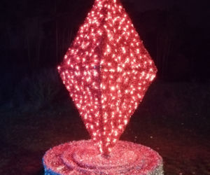 Park Iluminacji w Poznaniu