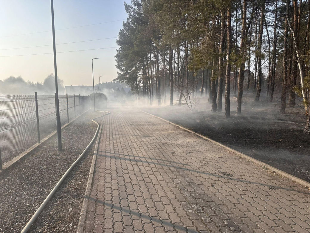 Spadła linia wysokiego napięcia. Ogień podchodził pod domy, ludzie ruszyli do gaszenia jeszcze przed strażakami