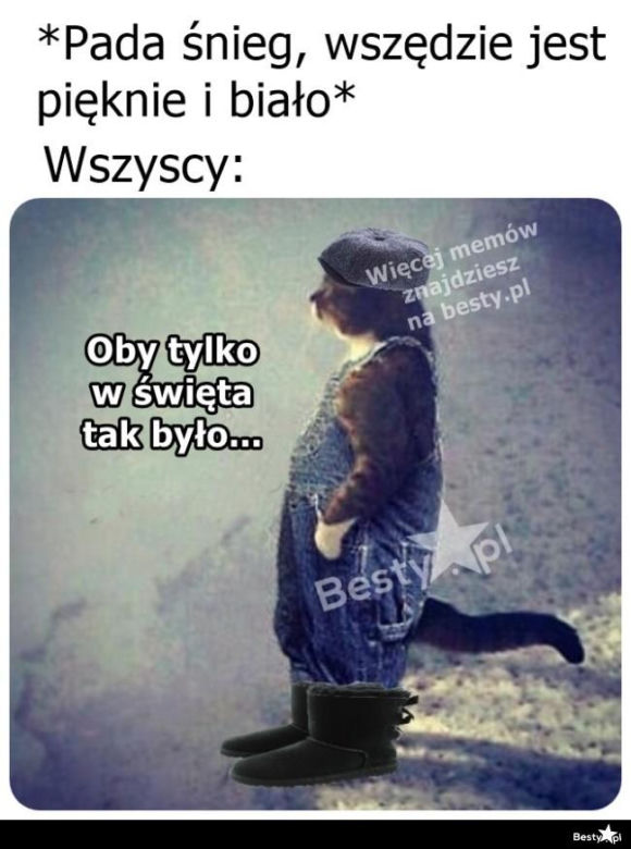 Memy o zimie roztapiają smutki. Te śnieżne obrazki rozbawią cię do łez [TOP 75]