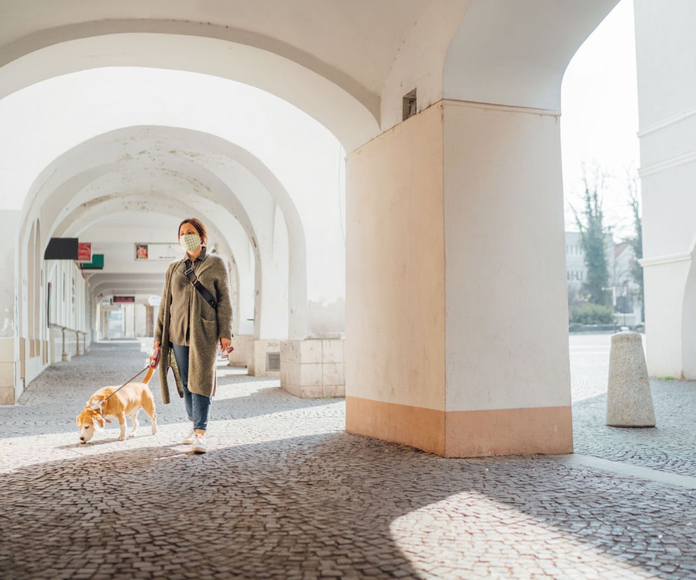 Koronawirus: Psy i koty cię obronią? Wiemy dlaczego!