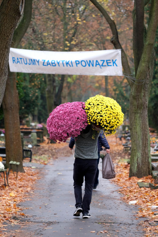 Kwesta na ratowanie zabytków Powązek 2026. 250 osób wyjdzie z puszkami