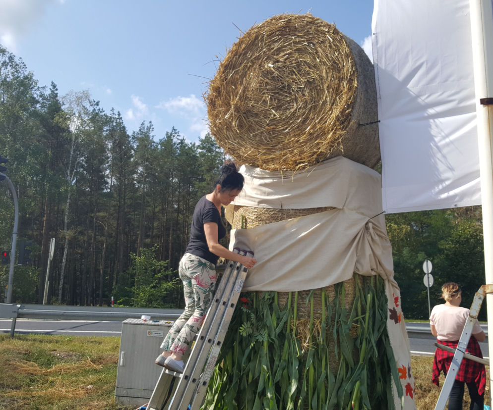 Żniwa dobiegają końca! Pod Bydgoszczą pojawiają się pierwsze witacze 