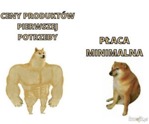 Inflacja w Polsce 2021. Najlepsze memy