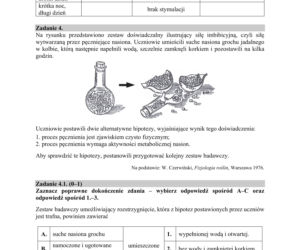 Matura 2019 z biologii [ARKUSZE CKE, ODPOWIEDZI]