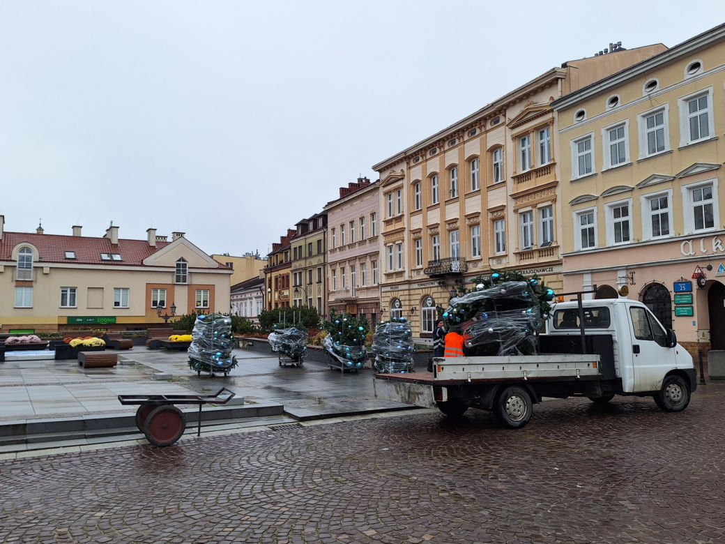Na rzeszowskim Rynku rozpoczął się montaż świątecznej choinki 