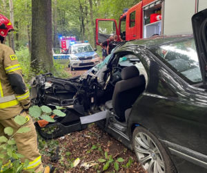 Dąbrowica: Bmw uderzyło w drzewo. 18-latek zakleszczony w pojeździe