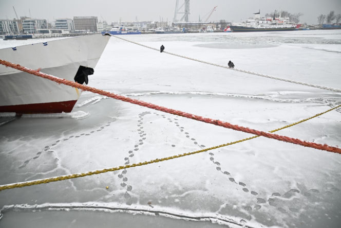 Zamarznięty Bałtyk